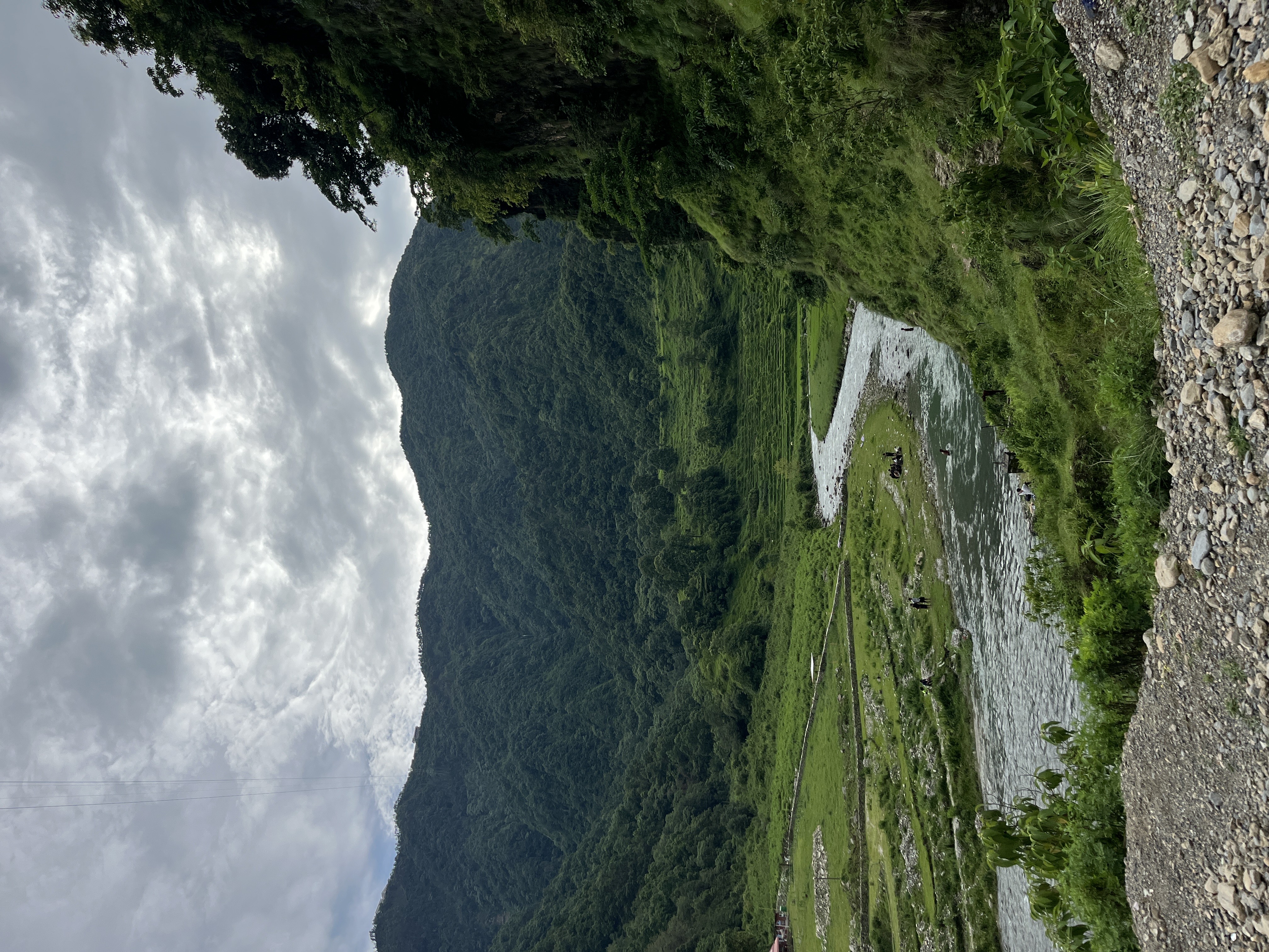 de rivier waarin we hebben gezwommen