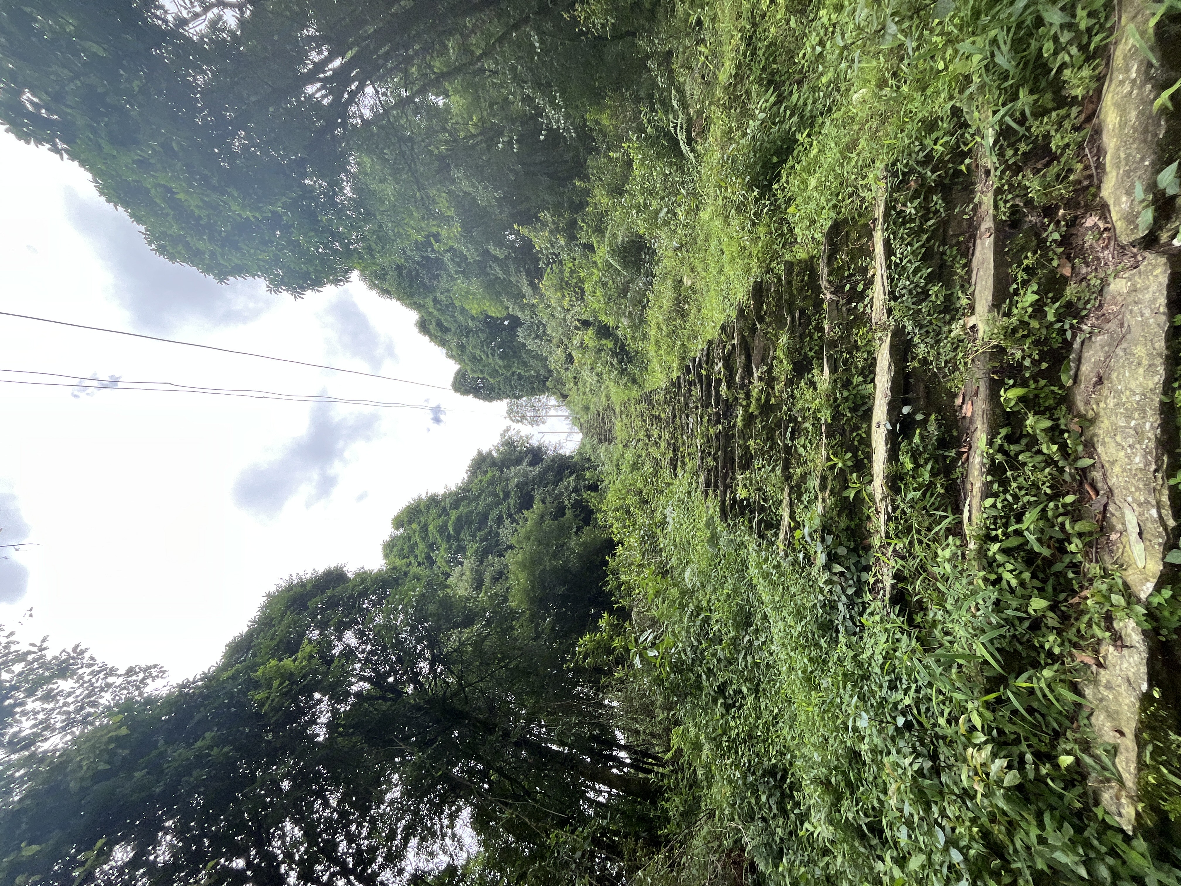 de trap die we op en af moesten hiken